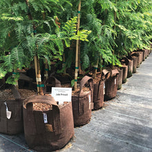 Load image into Gallery viewer, Brown Fabric Planter with Handles - 5 Pack