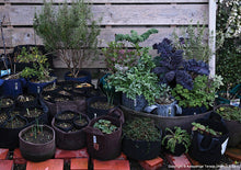 Load image into Gallery viewer, Fabric Planter Herb Kit