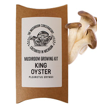 Load image into Gallery viewer, King Oyster Mushroom Growing Kit