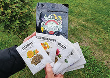 Load image into Gallery viewer, Medicinal Garden Kit