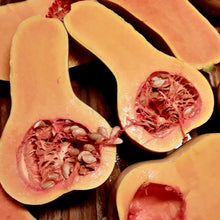Load image into Gallery viewer, Butternut Squash Landrace