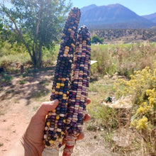 Load image into Gallery viewer, SLIME Corn! << Self-Fertilizing Nitrogen Fixing Trait >>