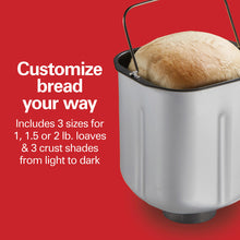 Load image into Gallery viewer, Artisan Dough & Bread Maker, Stainless Steel