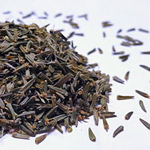 Load image into Gallery viewer, Blazing Star, Prairie (Liatris pycnostachya)