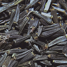 Load image into Gallery viewer, Blazing Star, Prairie (Liatris pycnostachya)