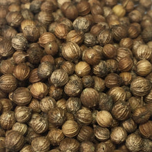 Load image into Gallery viewer, Cilantro, Slow Bolt (Coriandrum sativum)