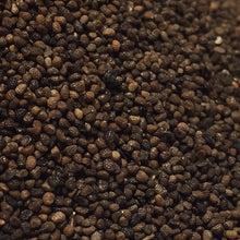 Load image into Gallery viewer, Tobacco, Rustica (Nicotiana rustica)