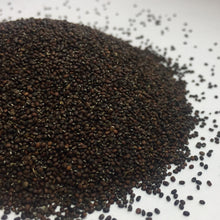 Load image into Gallery viewer, Catnip, Official (Nepeta cataria)