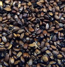 Load image into Gallery viewer, Bee Balm, Bradbury's (Monarda bradburiana)