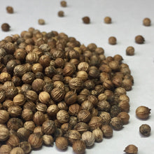 Load image into Gallery viewer, Cilantro, Slow Bolt (Coriandrum sativum)