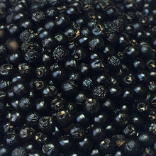 Load image into Gallery viewer, Ramp aka. Wild Leeks (Allium tricoccum)