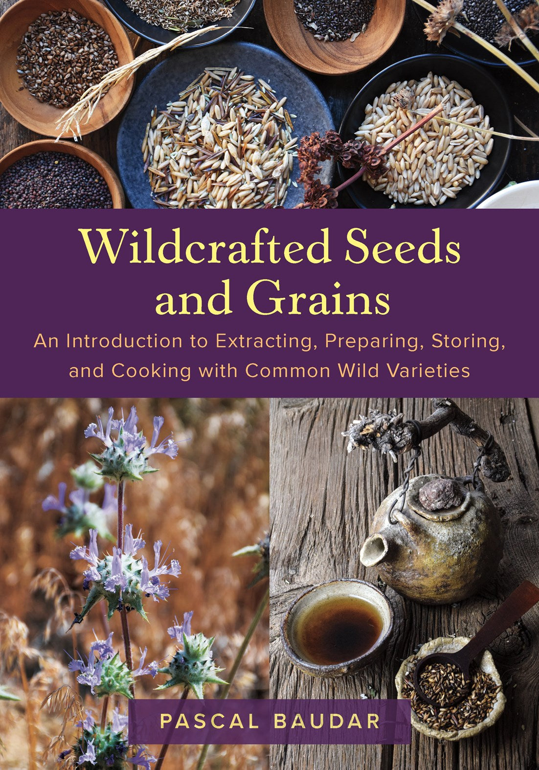 Wildcrafted Seeds and Grains – Mother Earth Living