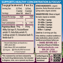 Load image into Gallery viewer, Attention Ally Focus Friend for Kids