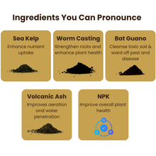 Load image into Gallery viewer, Ancient Soil Organic Living Soil