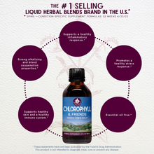 Load image into Gallery viewer, Chlorophyll & Friends