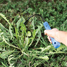 Load image into Gallery viewer, OGDEN Original CobraHead Weeder & Cultivator Garden Tool