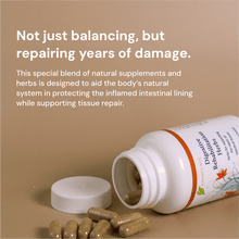 Load image into Gallery viewer, Digestive Rehabilitation Herbs