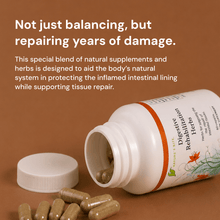 Load image into Gallery viewer, Digestive Rehabilitation Herbs