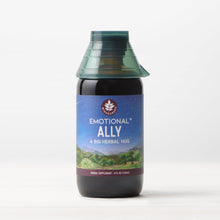Load image into Gallery viewer, Emotional Ally, A Big Herbal Hug