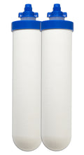 Load image into Gallery viewer, Ceramic Water Filter 2" x 8"