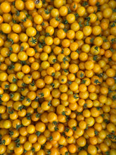 Load image into Gallery viewer, Galina Tomato