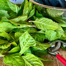 Load image into Gallery viewer, Japanese Indigo