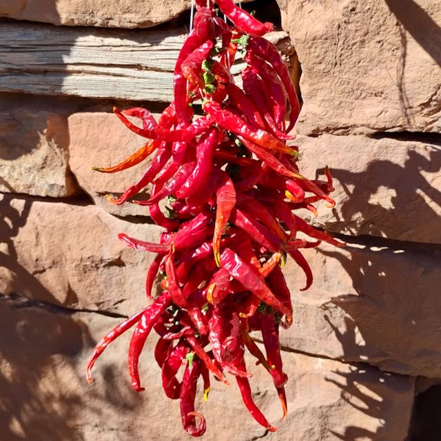 Ring O' Fire Cayenne – Mother Earth Living