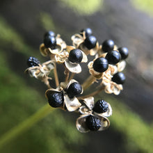 Load image into Gallery viewer, Ramp aka. Wild Leeks (Allium tricoccum)