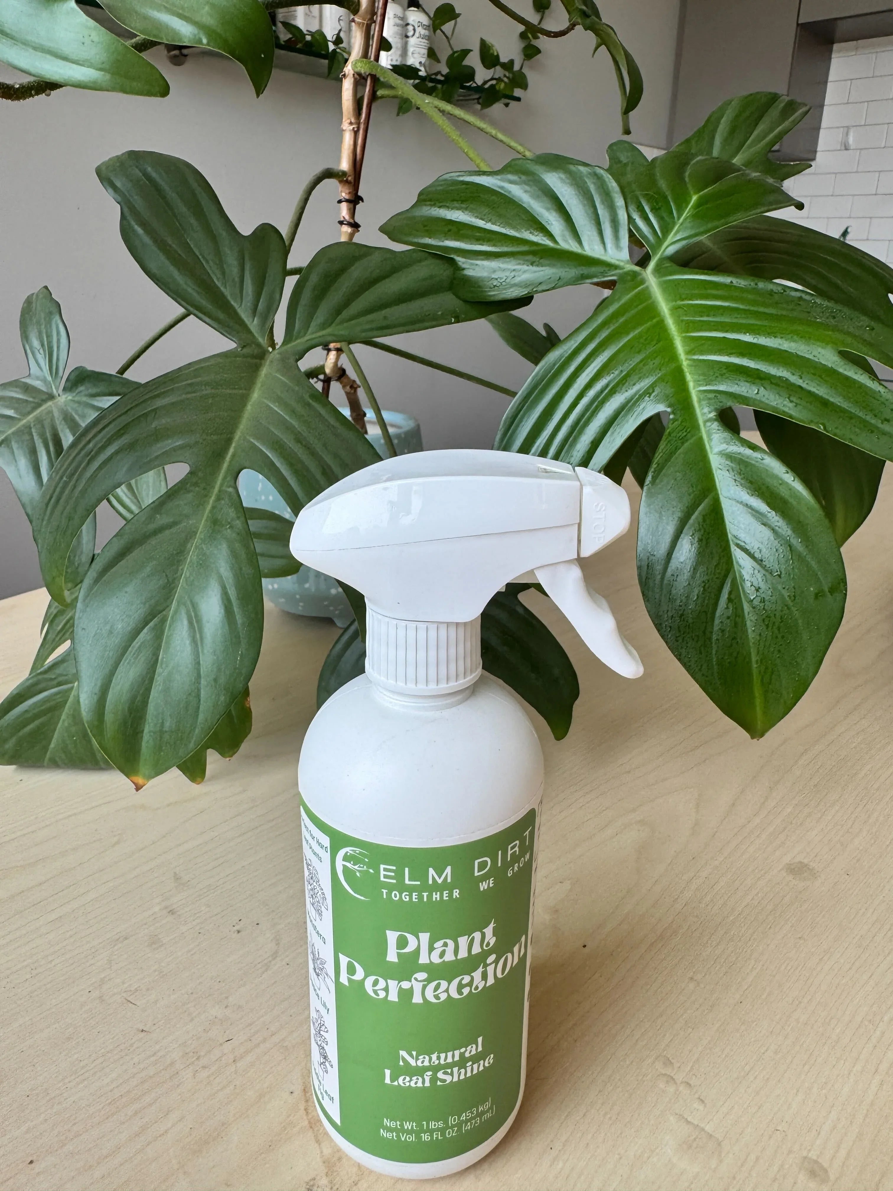 Plant Perfection – Mother Earth Living