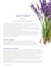 Load image into Gallery viewer, Quest For Calm