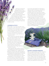 Load image into Gallery viewer, Quest For Calm