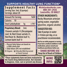 Load image into Gallery viewer, Respiratory Strength Daily Support