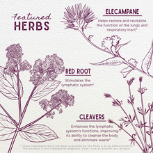 Load image into Gallery viewer, Respiratory Strength Daily Support