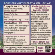 Load image into Gallery viewer, Rise & Energize Daily Energy Boost