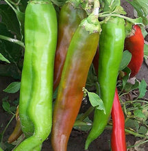 Load image into Gallery viewer, Big Jim Pepper