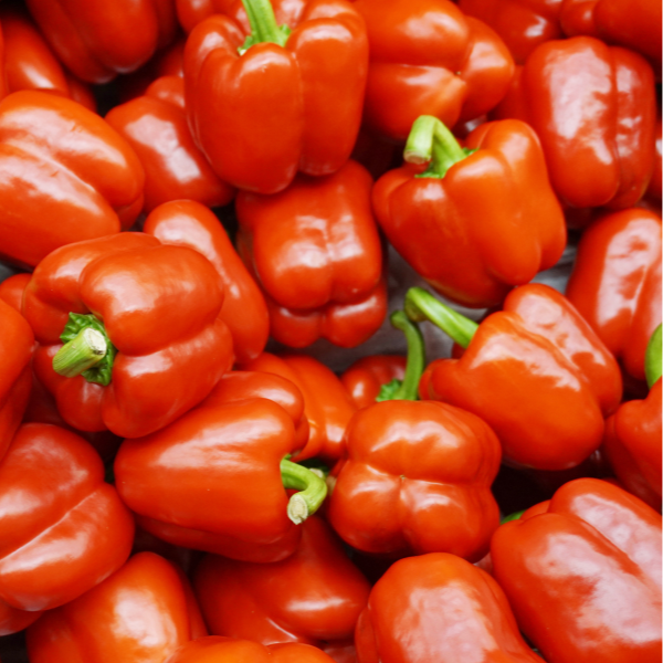 Early California Wonder Bell Pepper – Mother Earth Living