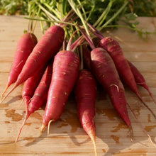 Load image into Gallery viewer, Dragon Carrot - Yellow Core Variation