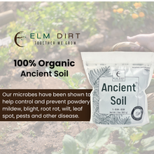 Load image into Gallery viewer, Ancient Soil Organic Living Soil