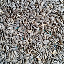 Load image into Gallery viewer, Anuenue Lettuce