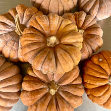 Load image into Gallery viewer, Black Futsu Squash