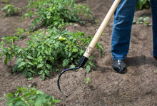 Load image into Gallery viewer, OGDEN CobraHead Long Handle Weeder & Cultivator Garden Tool