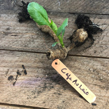 Load image into Gallery viewer, Copper Garden Tags with Wire - 5 inches