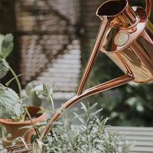 Load image into Gallery viewer, Haws Gardener Gift Set - Rowley Ripple & Spritzer