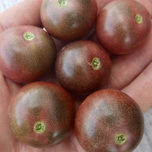 Load image into Gallery viewer, Mountain Black Cherry Tomato
