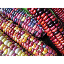 Load image into Gallery viewer, Homestead Seed CSA Share