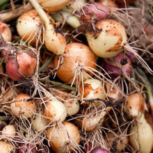 Load image into Gallery viewer, Small Seed CSA Share
