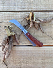 Load image into Gallery viewer, Professional Gardener's Knife - For Pruning, Grafting and Propagation