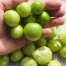 Load image into Gallery viewer, Tomatillo Verde