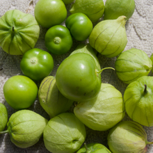 Load image into Gallery viewer, Tomatillo Verde