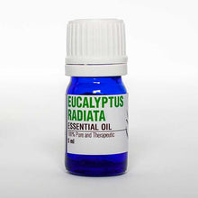 Load image into Gallery viewer, Eucalyptus Radiata Essential Oil